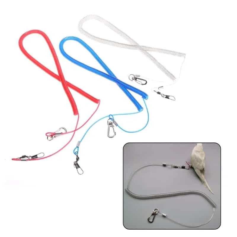 2-10 m Bird's Leash