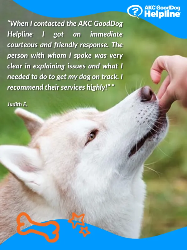 AKC GoodDog Helpline Video Training Consultations Bundle