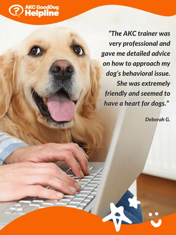 AKC GoodDog Helpline Video Training Consultations Bundle
