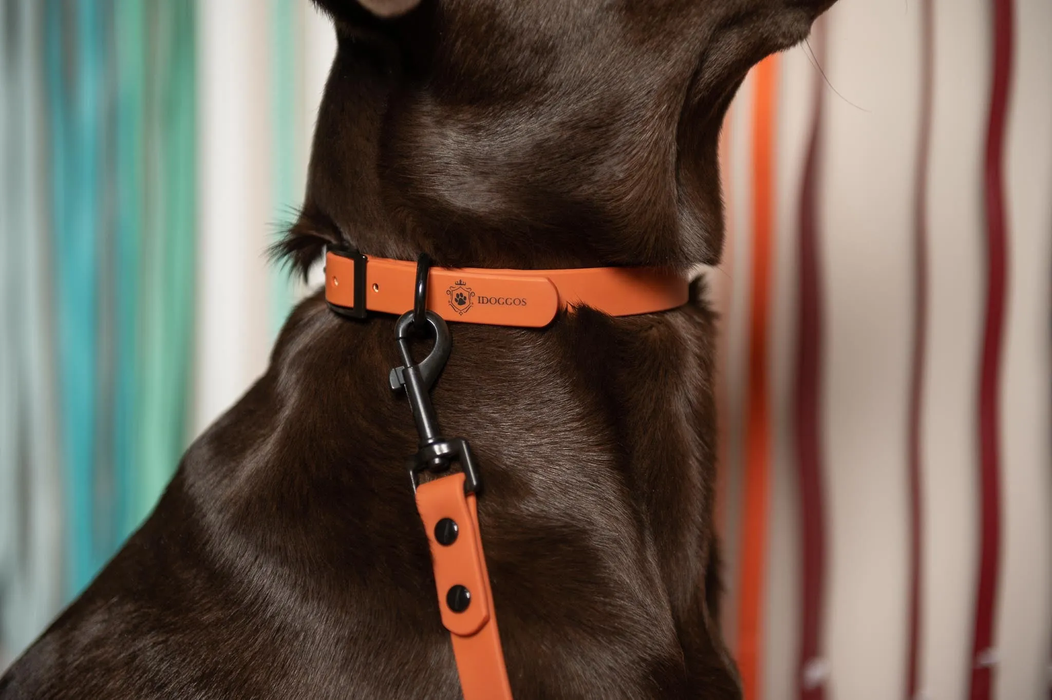 Cacao Leash