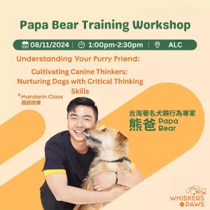 Cultivating Canine Thinkers: Nurturing Dogs with Critical Thinking Skills @ Ap Lei Chau Store
