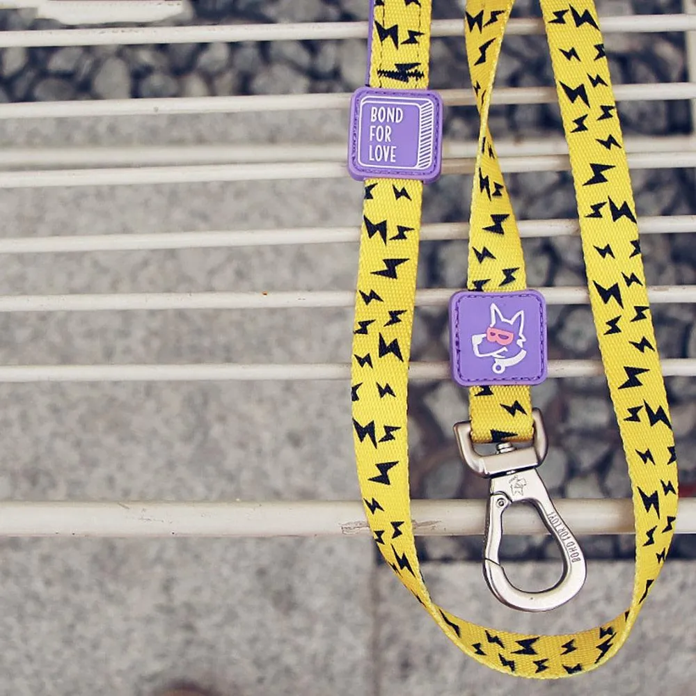 Medium Dog Walking Leash