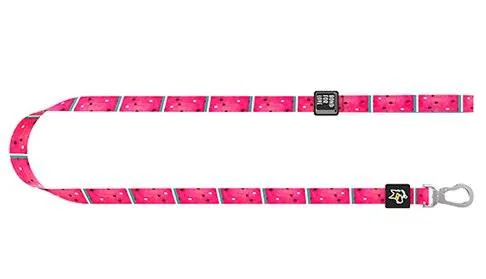 Medium Dog Walking Leash